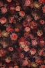 Designer Pure Printed Crepe Silk Fabric